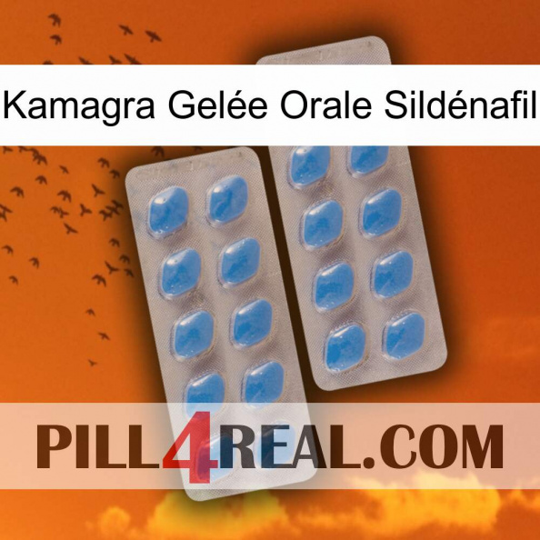 Kamagra Gelée Orale Sildénafil 23